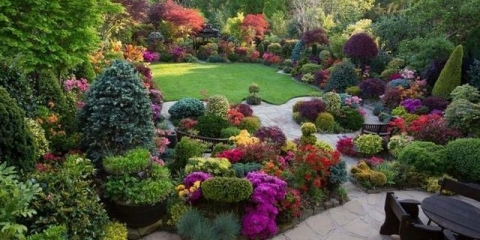 Kako urediti cvjetnjak od trajnica da cvjeta cijelo ljeto